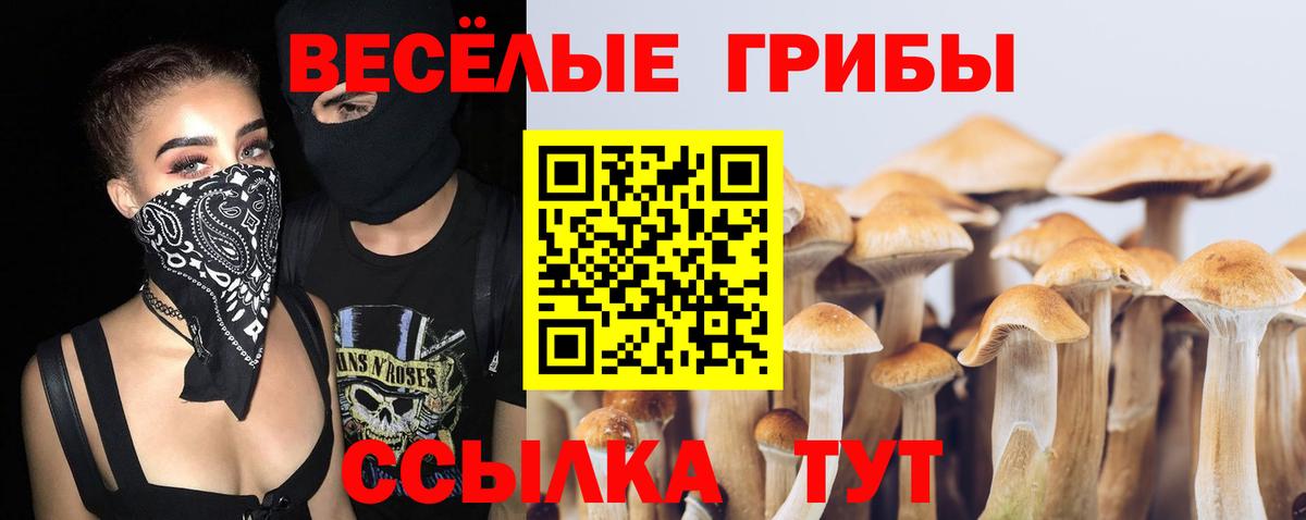 Псилоцибиновые грибы мухоморы Ижевск
